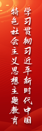 学习贯彻习近平新时代中国特色社会主义思想主题教育